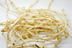 魚腥草到底是什么？魚腥草能不能吃？[多圖]