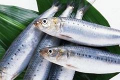 吃馬鮫魚有什么副作用嗎？怎么挑選馬鮫魚？[圖]