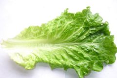 生菜發苦怎么回事？生菜發苦能吃嗎？[多圖]