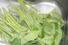 藤藤菜是什么菜？藤藤菜有毒嗎？[多圖]