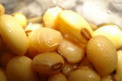 黃豆怎么發豆芽？黃豆在水里怎么發芽？[多圖]