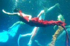 女孩海洋館扮美人魚(yú)！冬天長(zhǎng)時(shí)間泡在水里有何危害？[多圖]