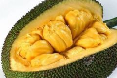菠蘿蜜能放冰箱嗎？菠蘿蜜可不可以放冰箱冷藏？[圖]