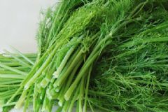 孕婦可以吃茴香嗎？產婦可以吃茴香嗎？[圖]