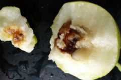 梨子黑心了還能吃嗎？梨子核變黑了還鞥吃嗎？[多圖]