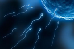 蟑螂會吃人的精液嗎？蟑螂喜歡男人的精液嗎？[圖]