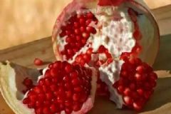 肺結核適合吃什么水果？肺結核飲食原則是什么？[圖]