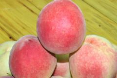 水蜜桃和油桃的區(qū)別有哪些？水蜜桃和油桃哪個好吃？[多圖]