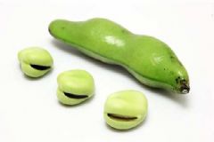 蠶豆是什么豆？蠶豆是堅果嗎？[多圖]
