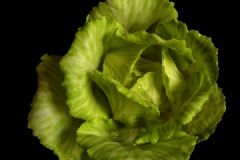 吃包菜會回奶嗎？哺乳期可以吃包菜嗎？[多圖]