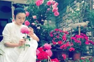 愛養(yǎng)花的女人，定是靈魂有香，精神有光！