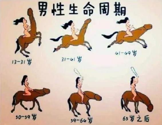 男性的丁丁是什么樣子的？平時如何健康保養[圖]