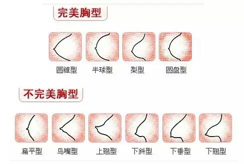 女人的胸長(zhǎng)什么樣子？女人的胸是什么樣的？[圖]