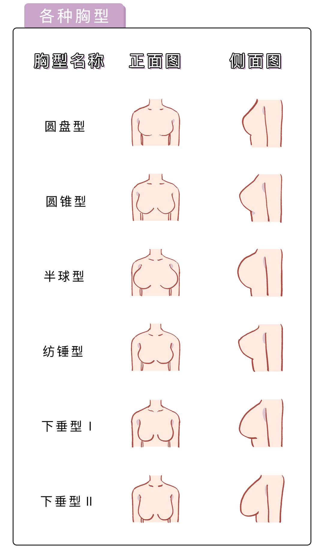 女人的胸長(zhǎng)什么樣子？女人的胸是什么樣的？[圖]