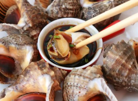 大海螺是海鮮嗎？怎么挑選海螺公母