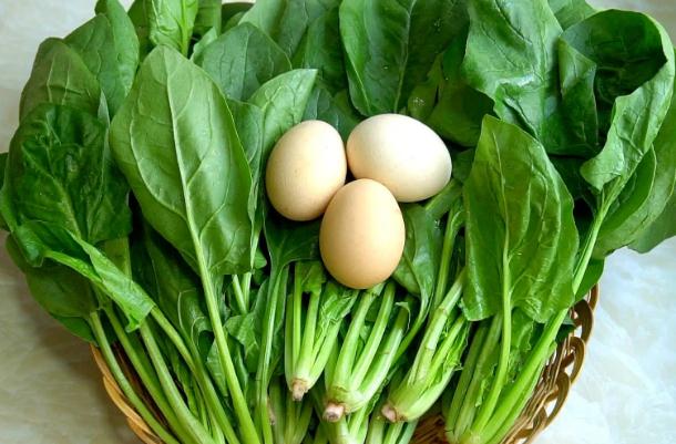 菠菜怕凍嗎？菠菜種子直接撒在地里種可以嗎？