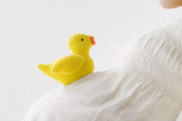 孕婦能吃紅毛丹嗎？孕婦可以吃蔓越莓嗎？