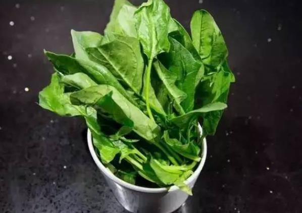 菠菜吃多了有什么反應 影響腸胃健康消化不良