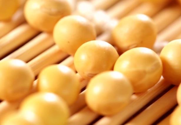 干黃豆可以直接打豆漿喝嗎 黃豆和什么一起打豆漿好