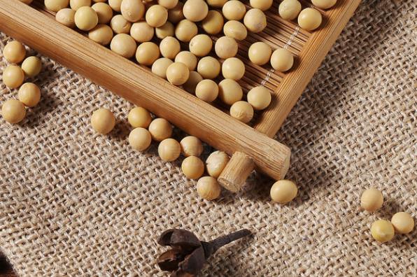 黃豆泡多久打豆漿最好 泡好的黃豆可以放幾天