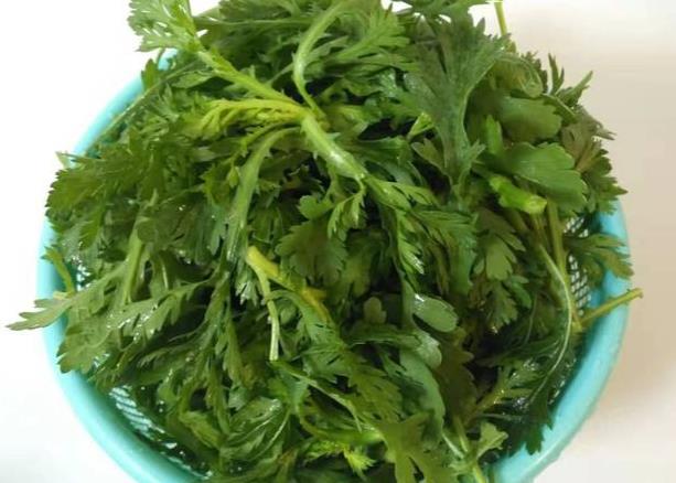 尿酸高可以吃茼蒿嗎 茼蒿嘌呤高嗎