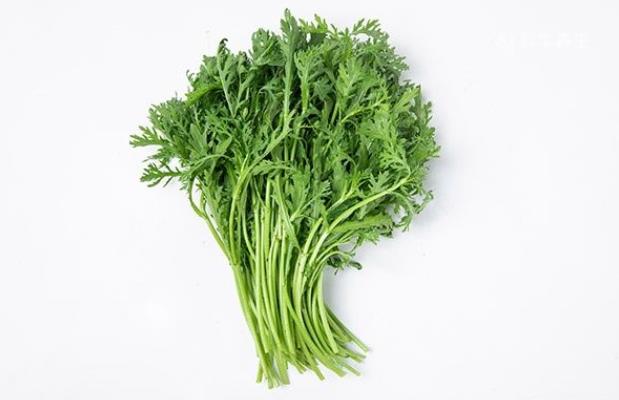 茼蒿可以天天吃嗎 致體內寒氣加重消化不良