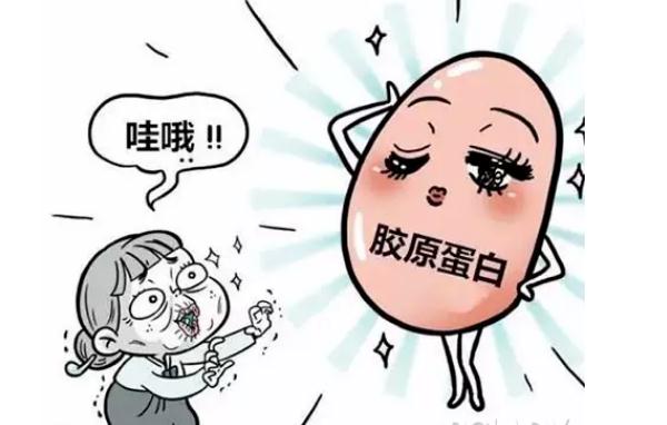 膠原蛋白對(duì)人體有哪些功能？吃膠原蛋白需注意哪些事項(xiàng)？