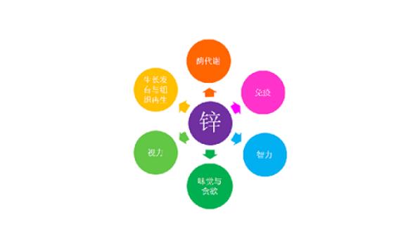 補鋅有什么作用？鋅什么時間吃吸收最好？