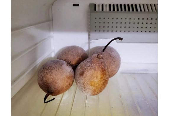 冰箱凍梨要凍多久呢？凍好的梨解凍需要多久？