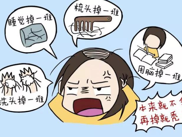 雄性激素高會脫發嗎 雄性激素脫發怎么食補
